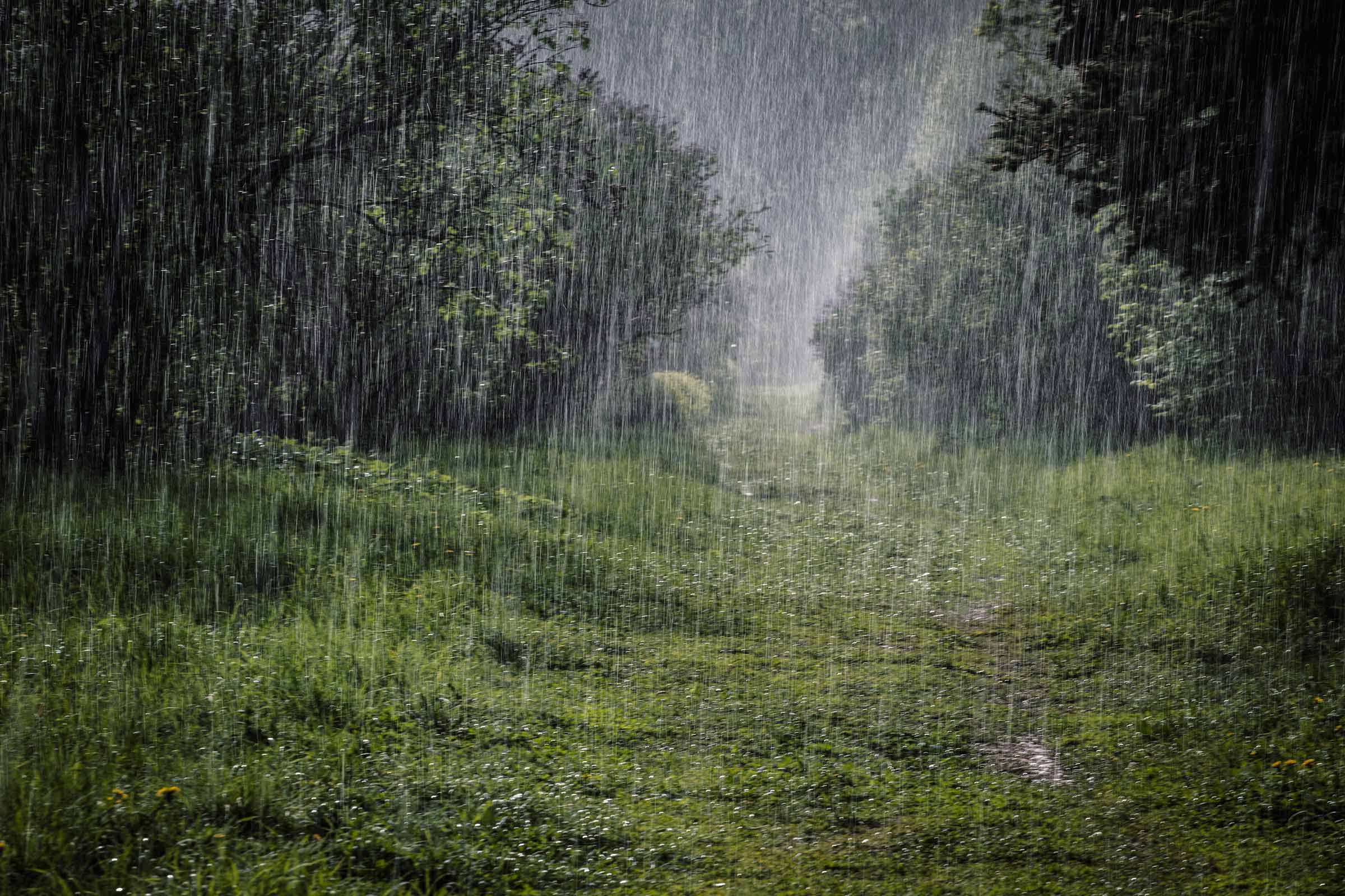 shutterstock_1698327748